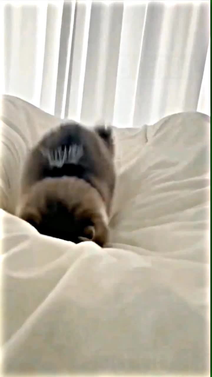 @່່່