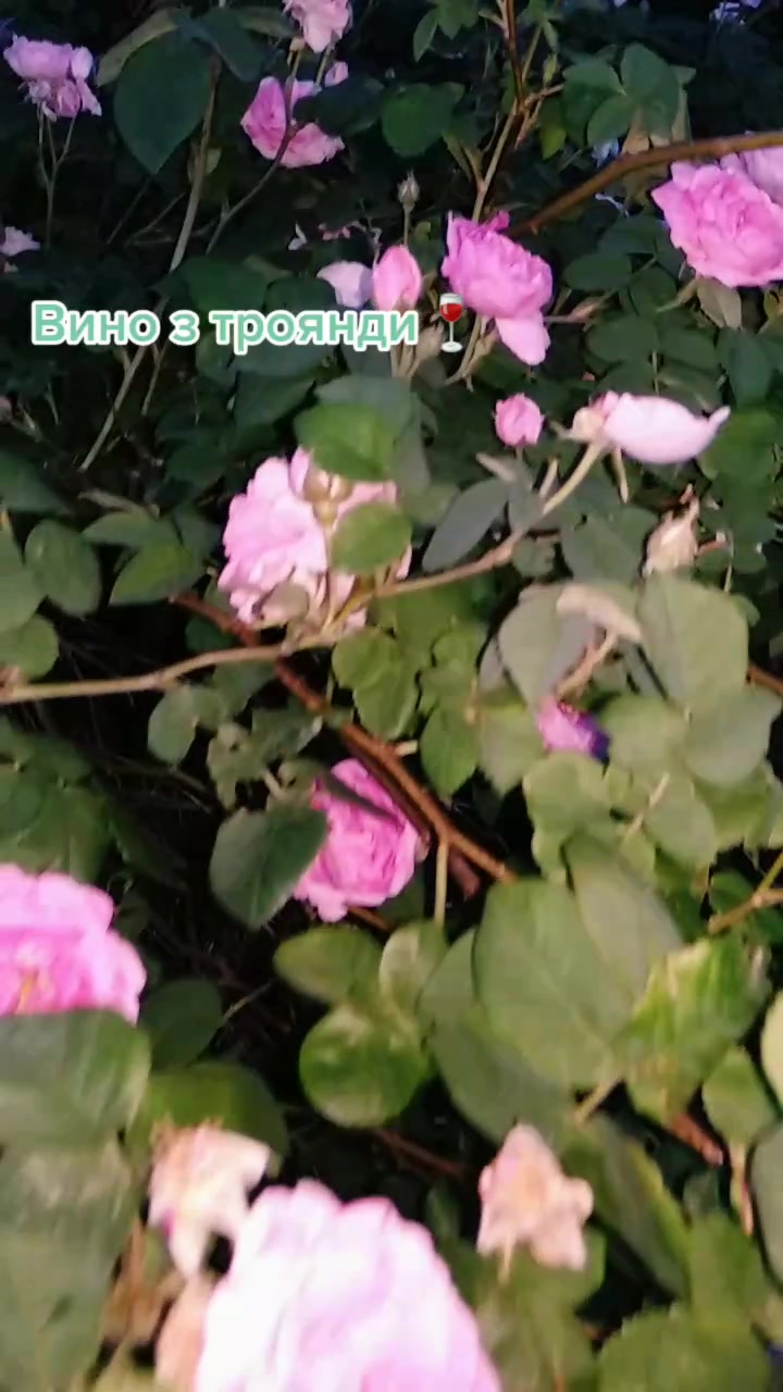 @☀️Сей Хей☀️