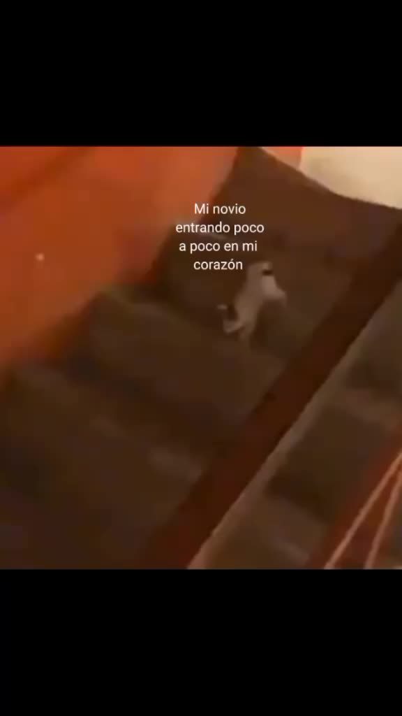 @m.s