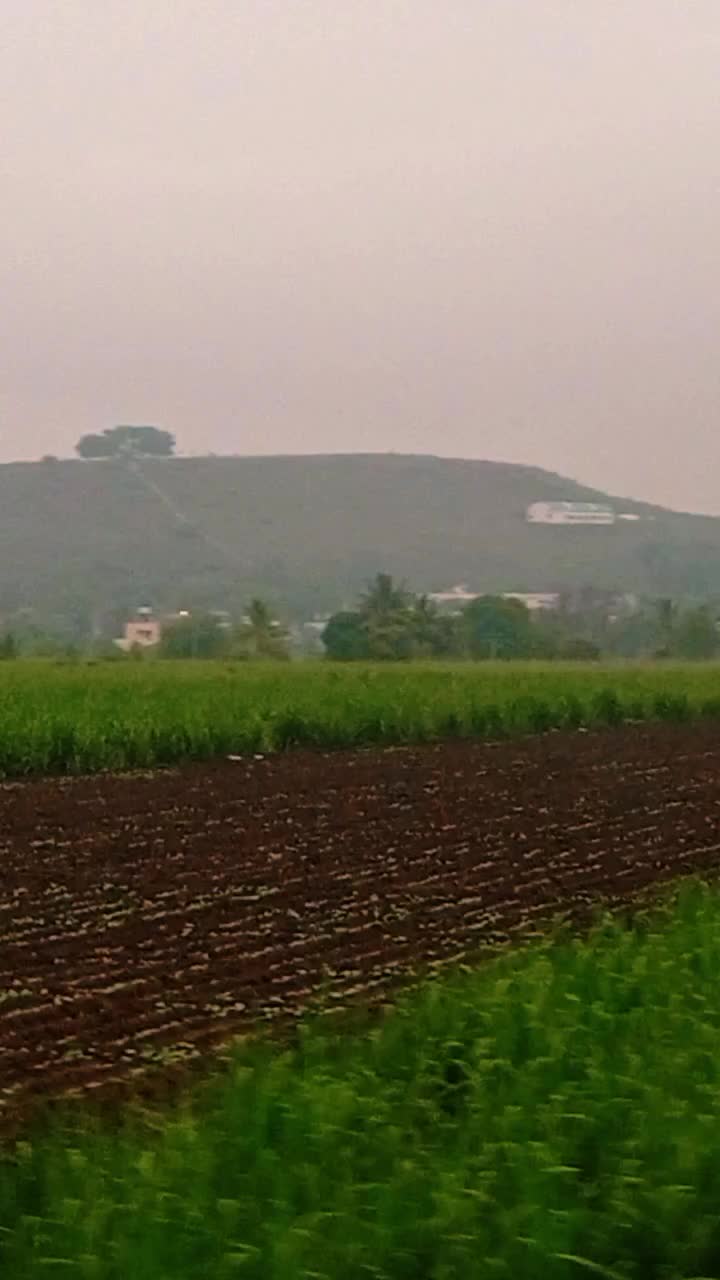 @ratanbist5