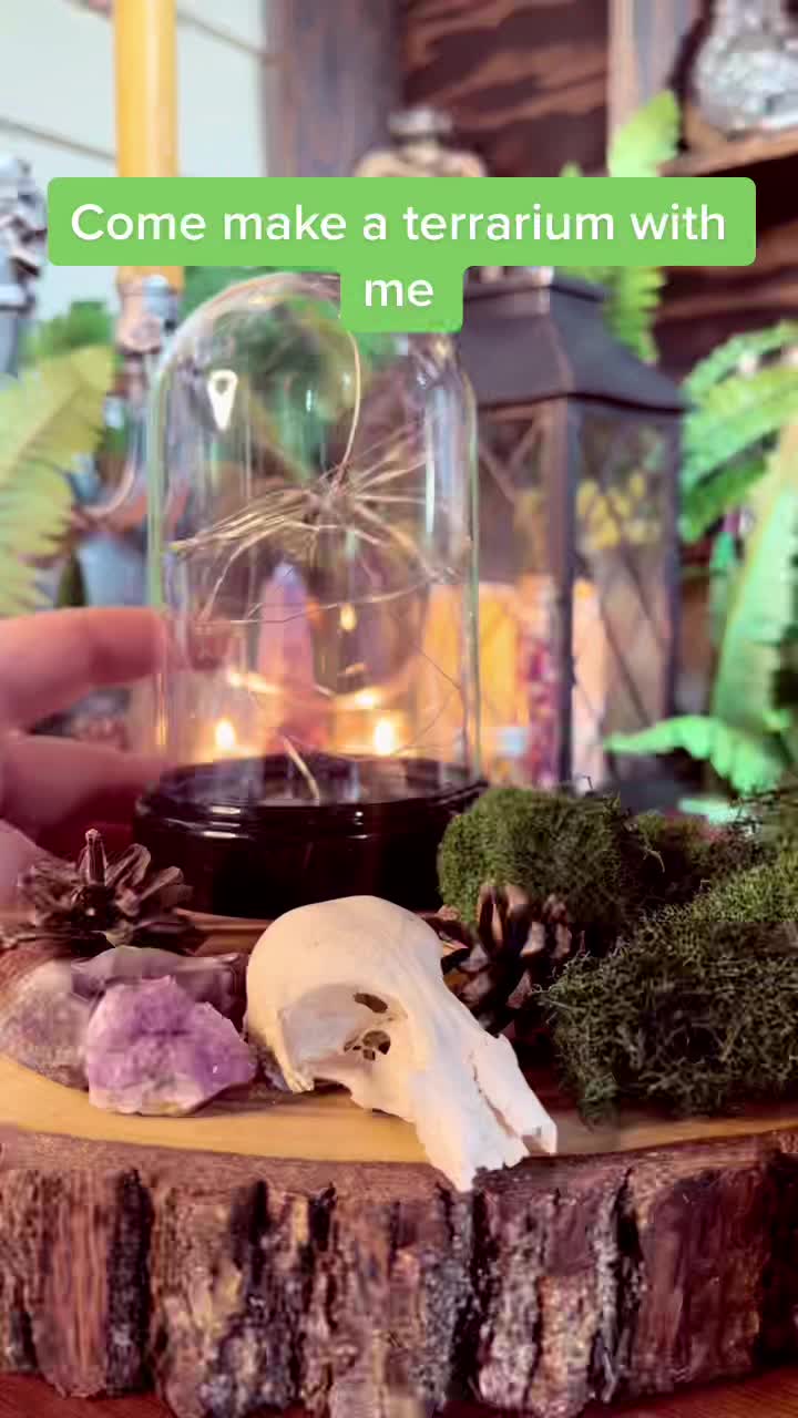 @HocusCopusApothecary 🇨🇦