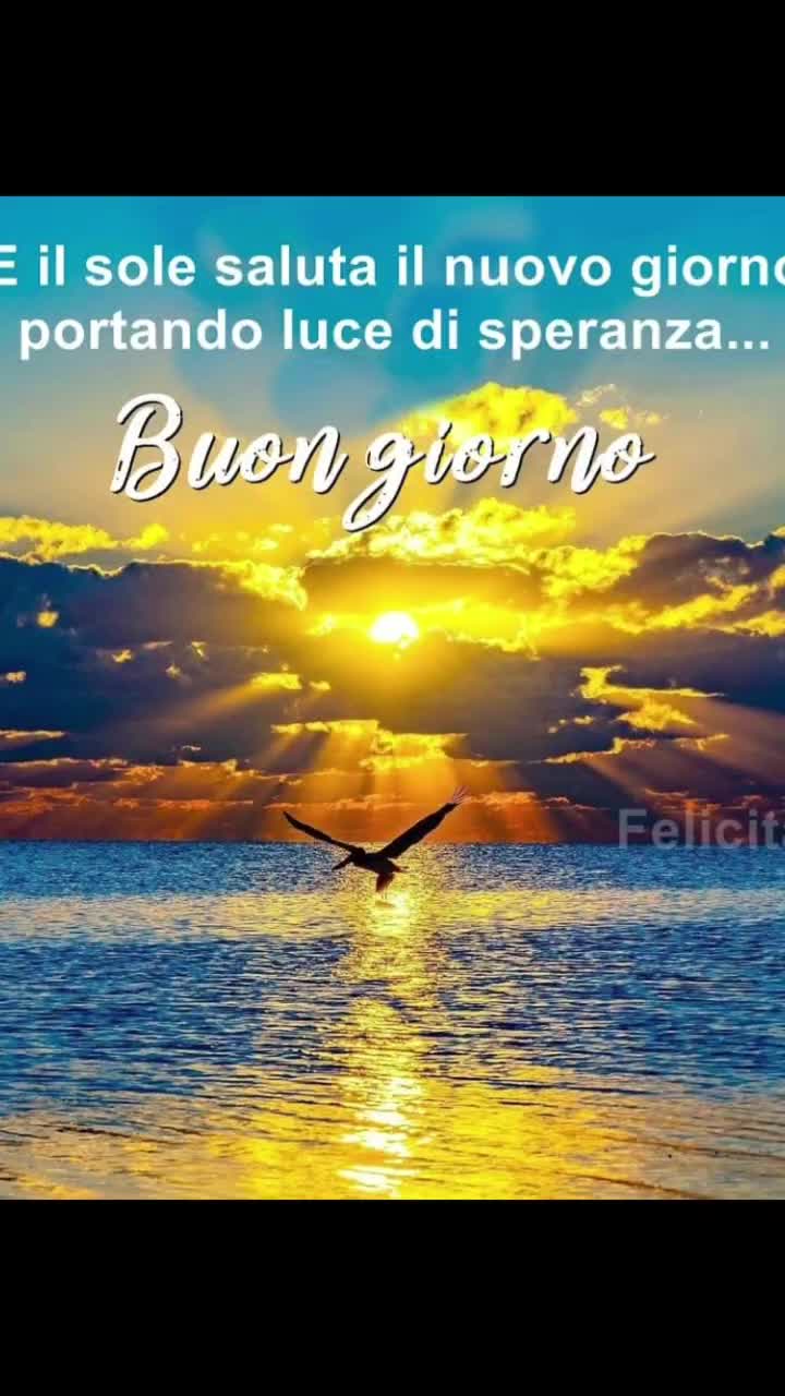 @Franceschina 💗
