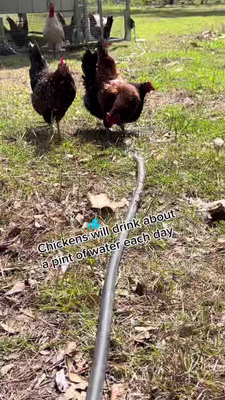 @Total_Farm