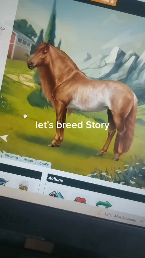 @horse reality