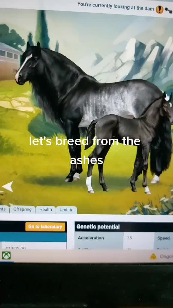 @horse reality