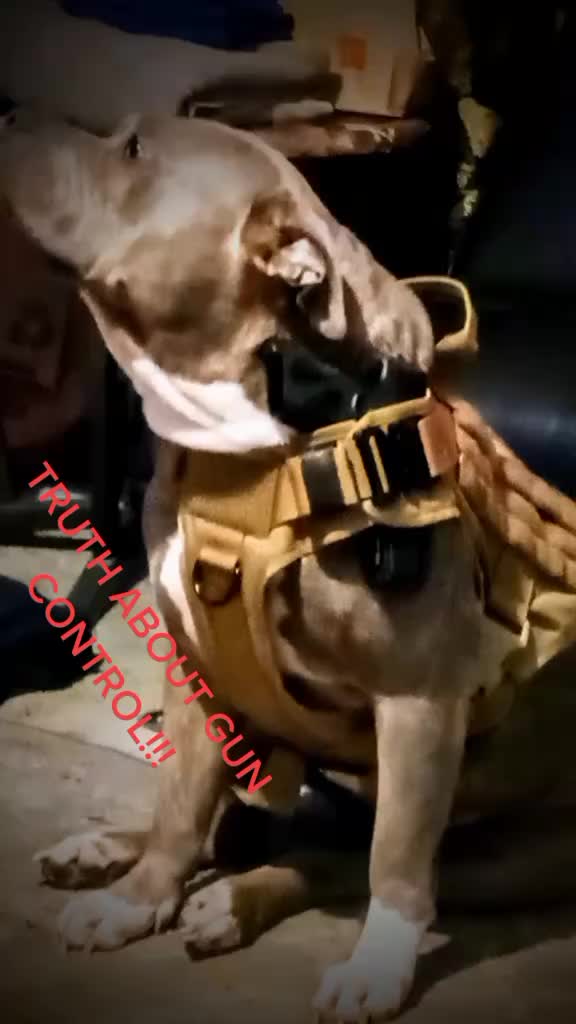 @Flextimebullyz