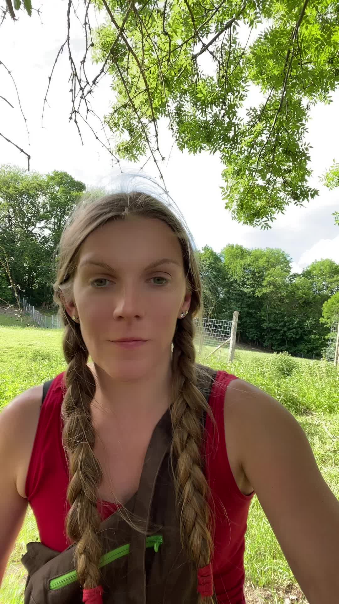 @HafiHorse2