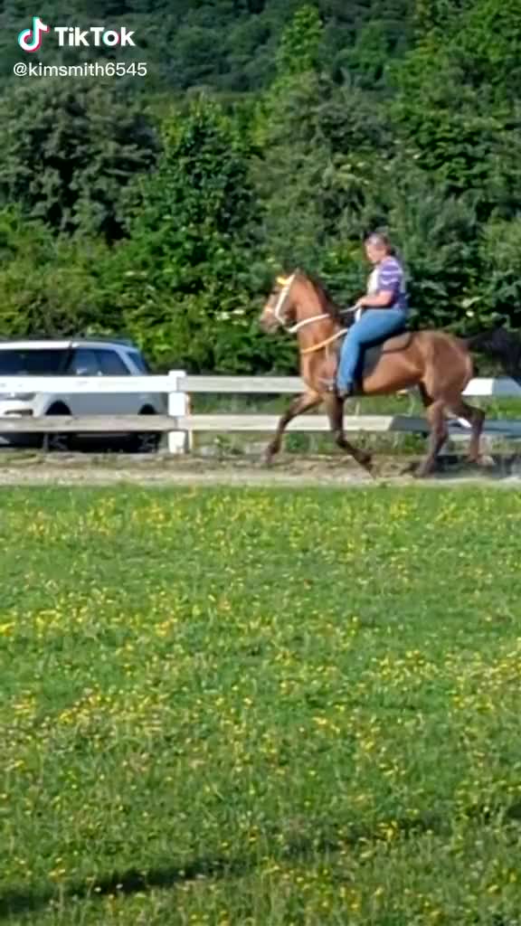 @Mane Stream Stables