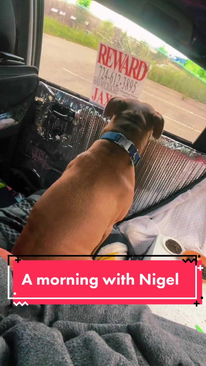 @Chelsea on Wheels & Meowtains