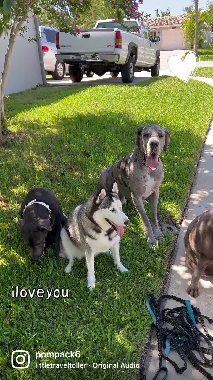 @Pompack