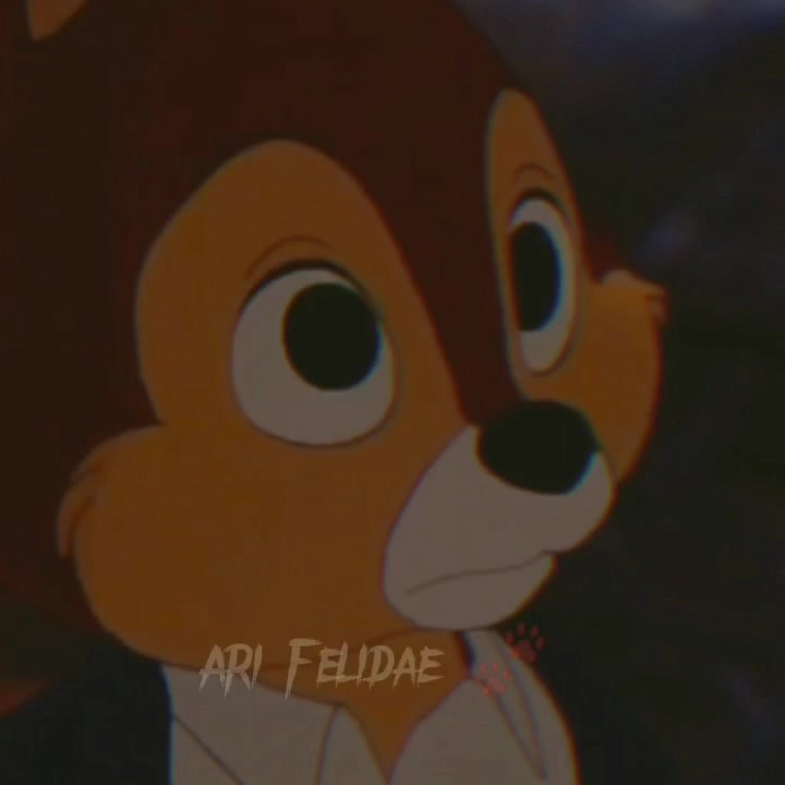 @Ari Felidae