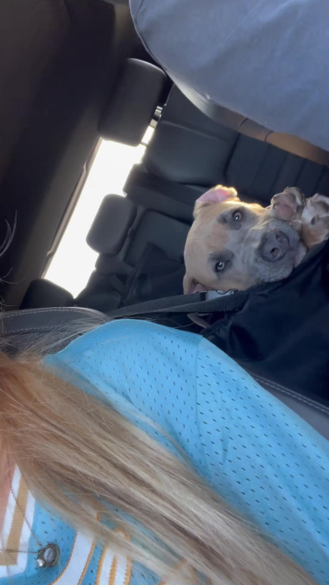 @lifeofpacoo