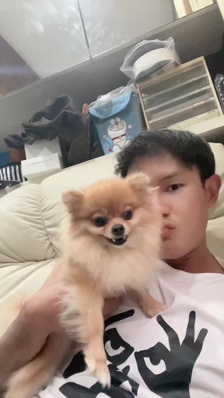 @Trin Kim (김신기)
