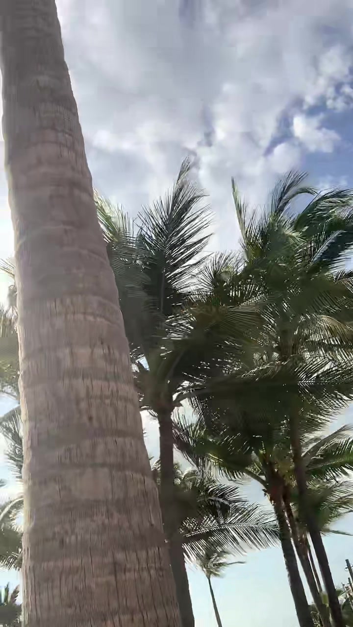 @andreacelinaa