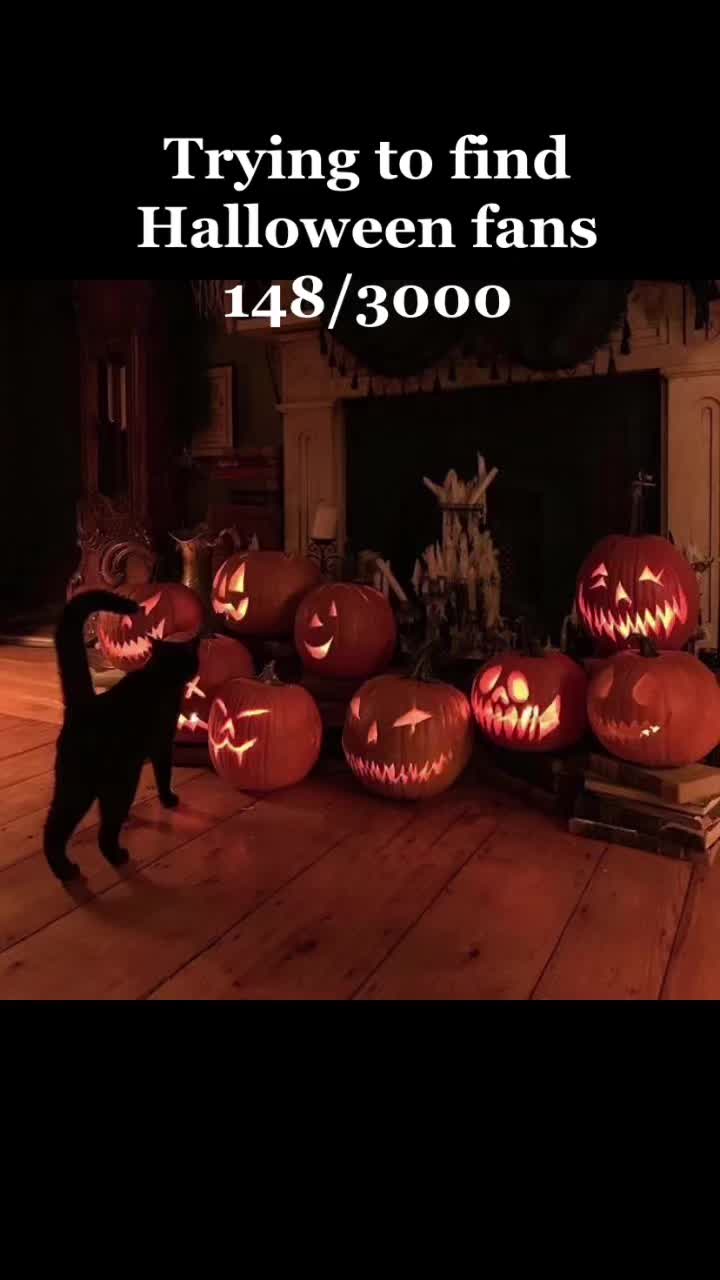 @Halloween