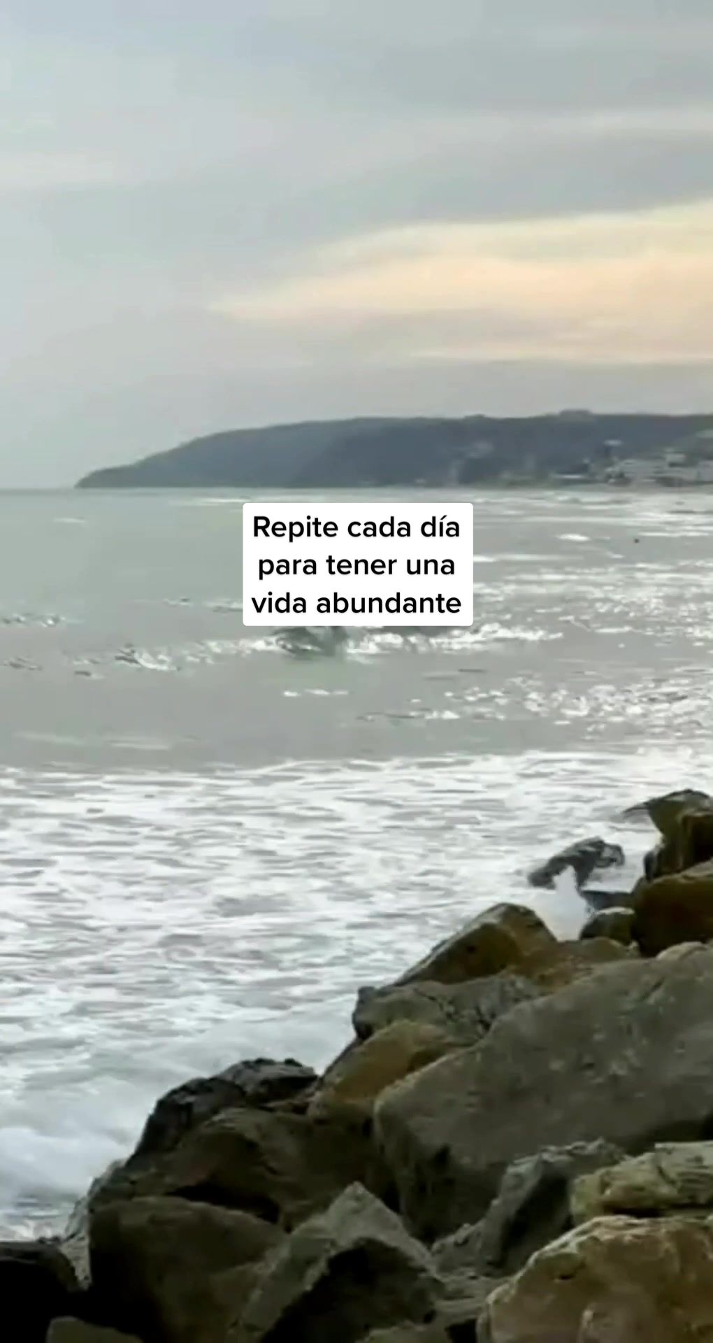 @Vitaminas de &Eacute;xito