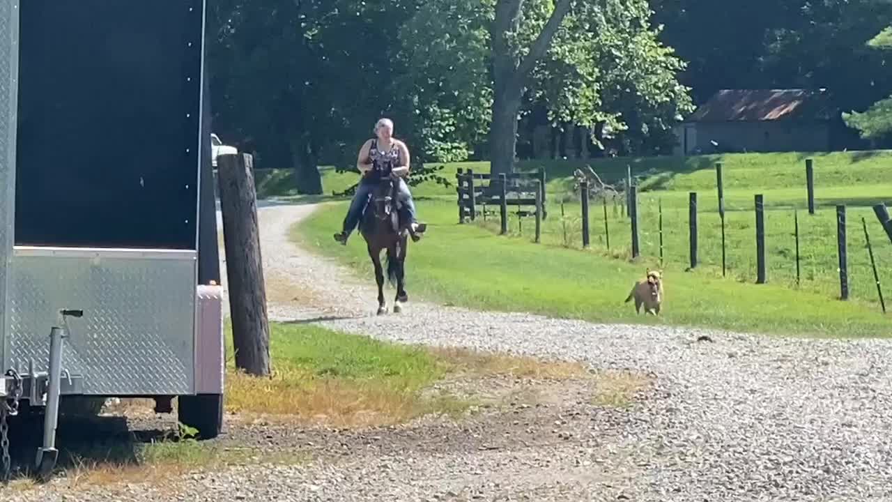 @Libby🐾❤️🐴