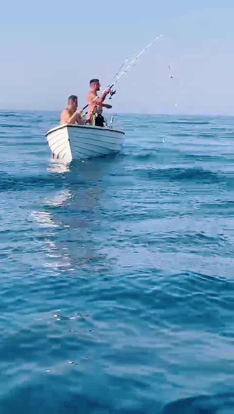 @Nunzio😎