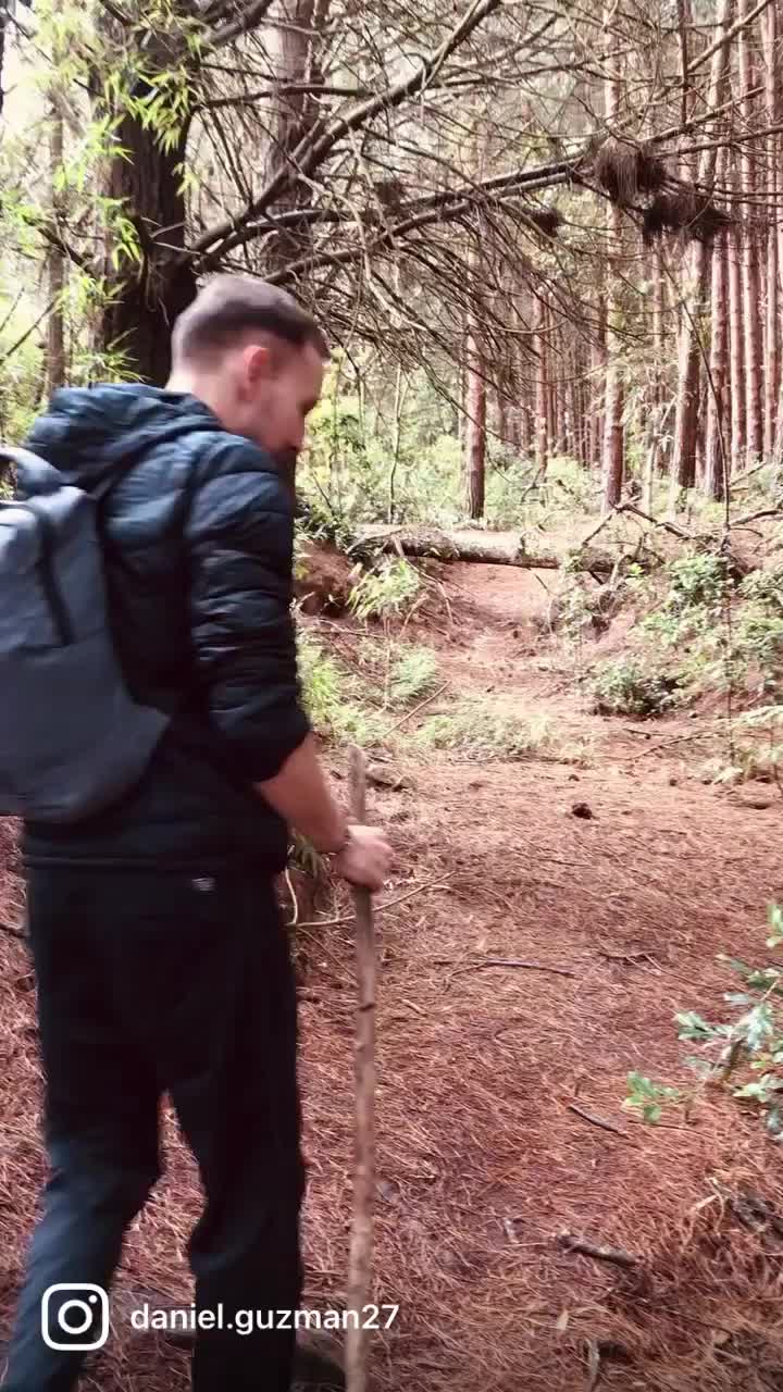 @Daniel Guzm&aacute;n