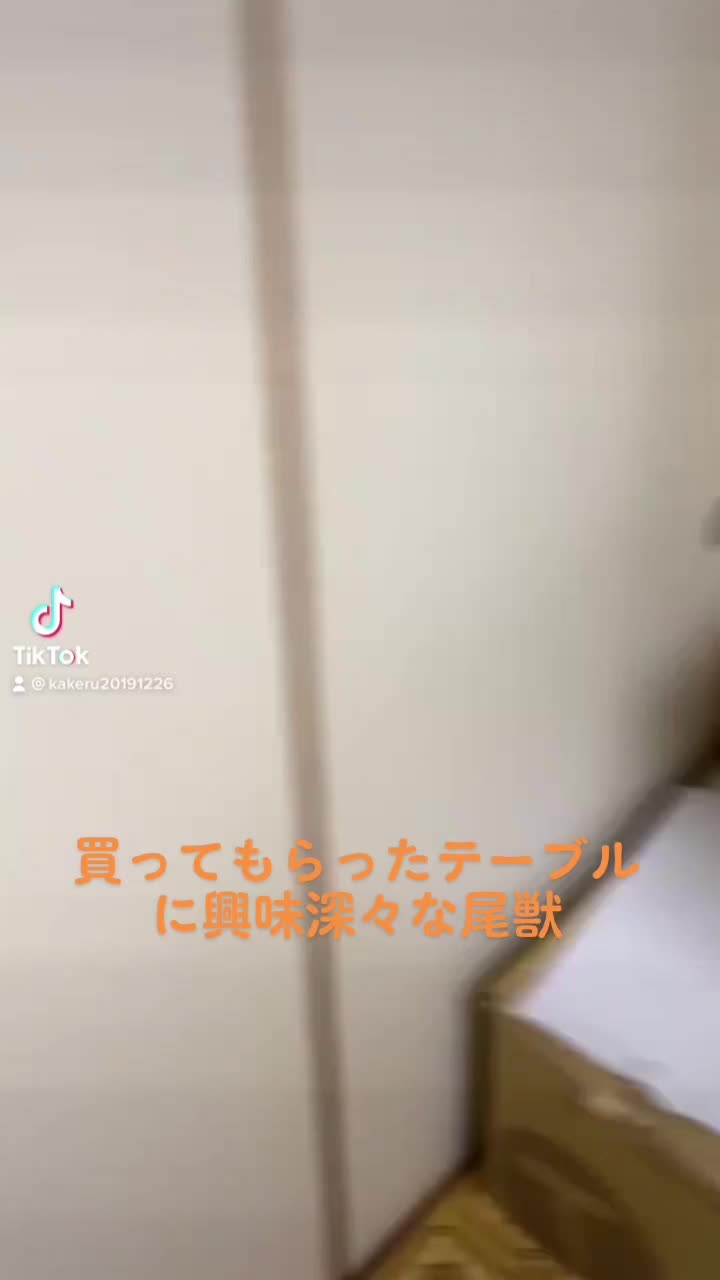 @しこまる