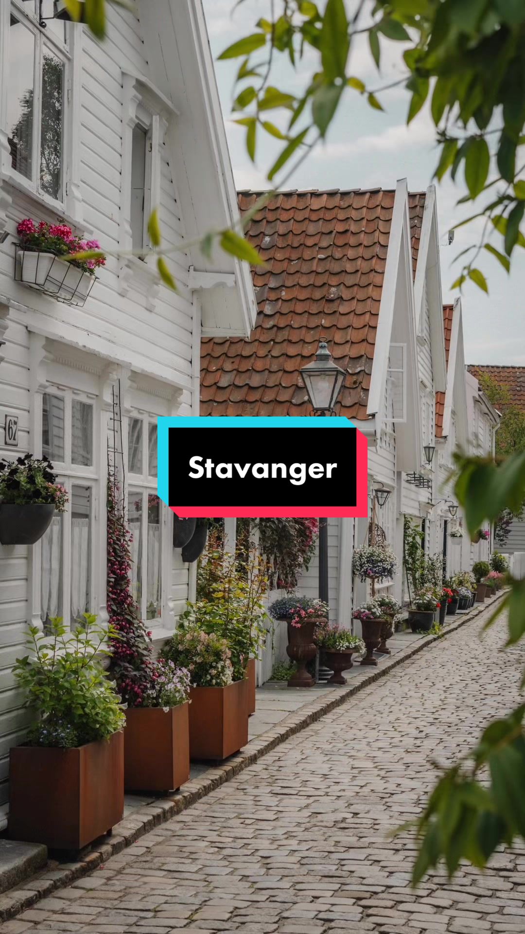 @Alicia ✨ Travel Blogger