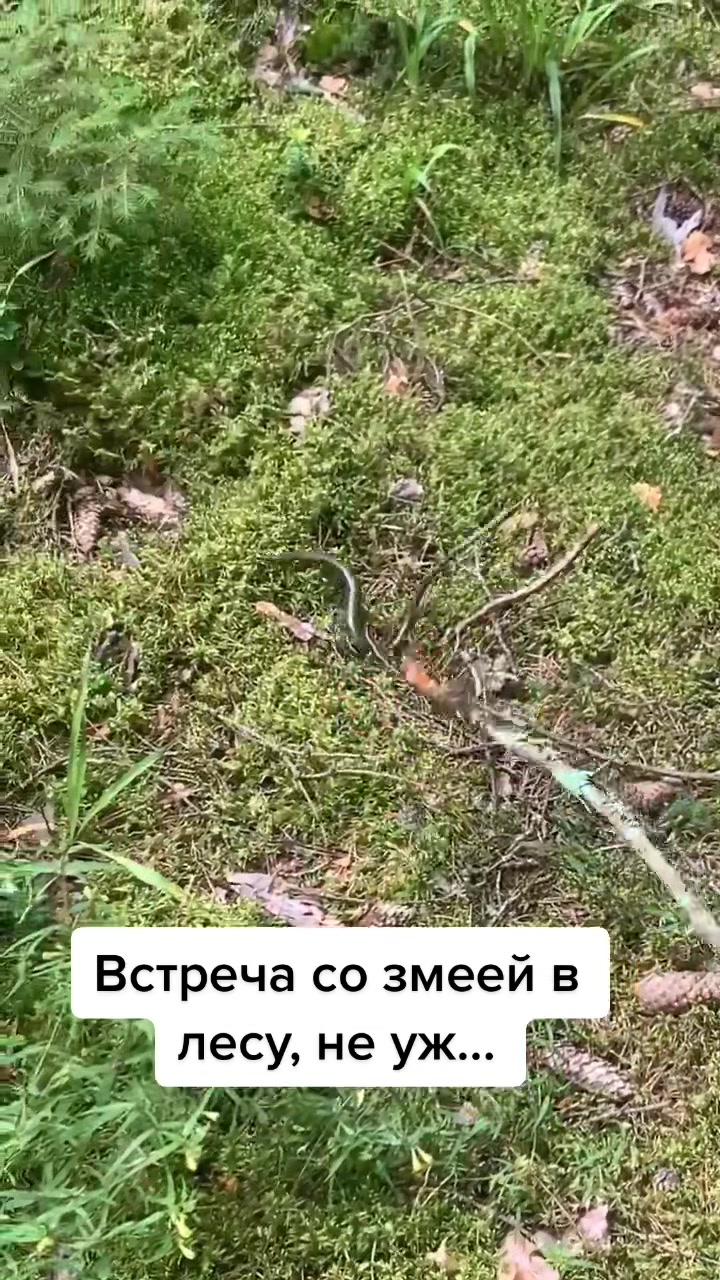 @Минск|ТатьянаХацкевич|Беларусь