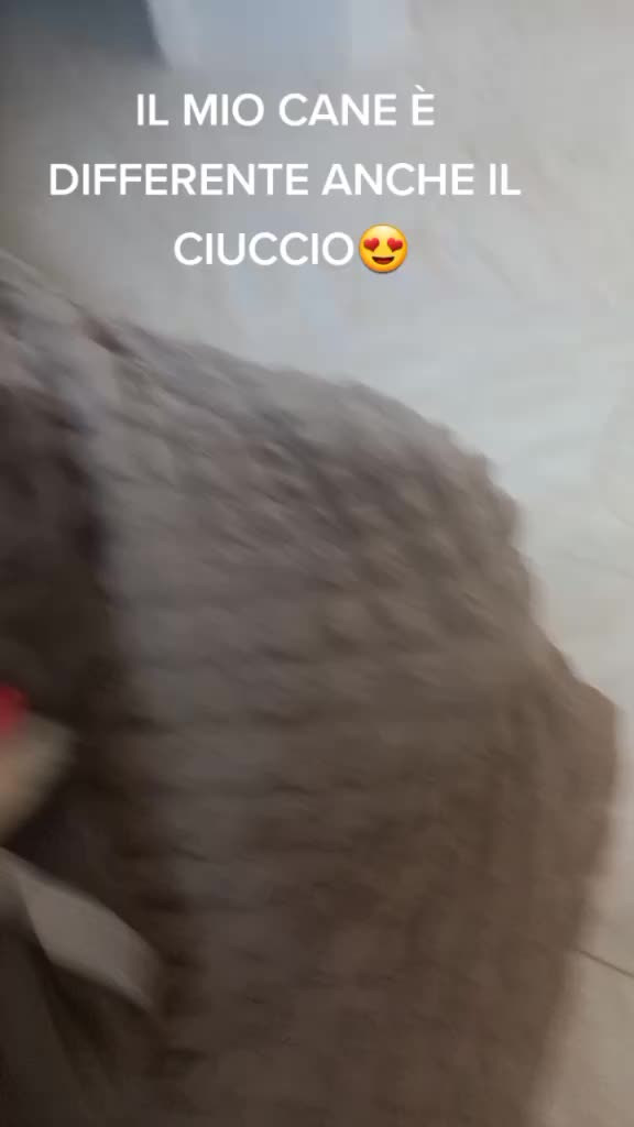 @lucianafilippopal