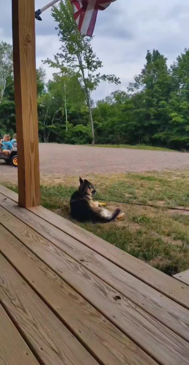 @Kolt - GSD