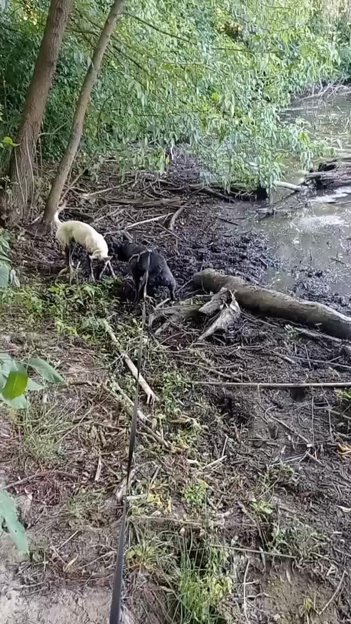 @Алла