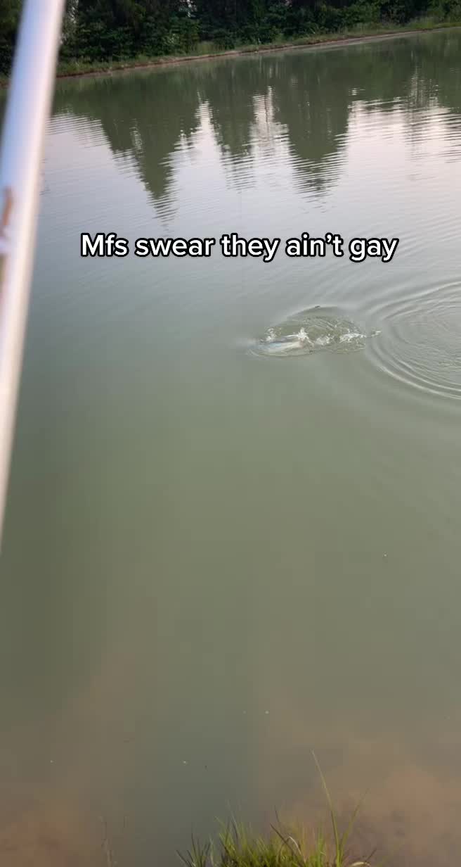 @Sauer6.6