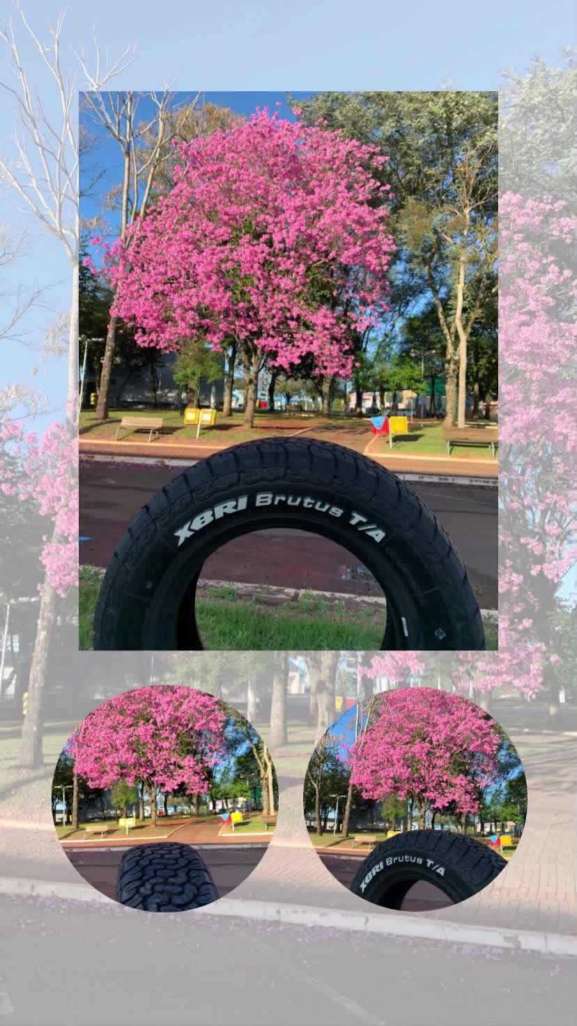 @TiresSolutions