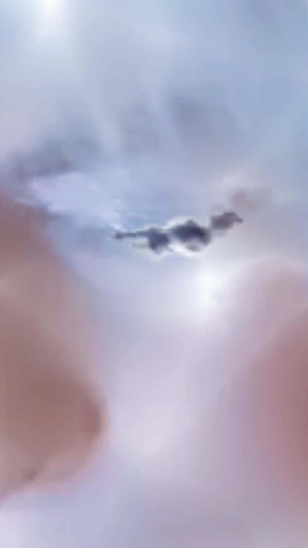 @𝕽𝖊𝖌𝖎𝖓𝖆𝕷𝖎𝖔𝖓𝖊𝖘𝖘⚔️🛡