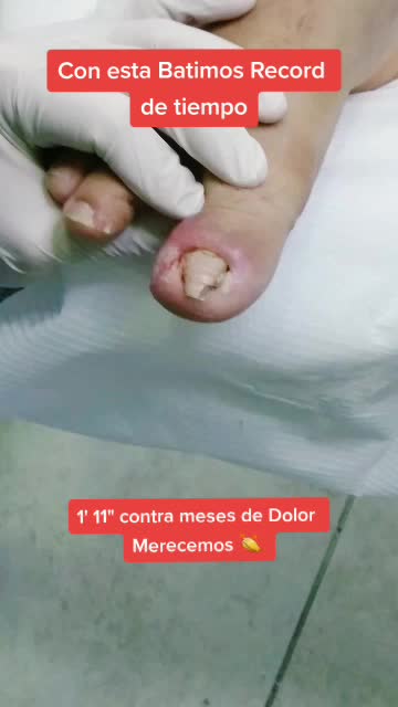 @Pod&oacute;logia Nordelta