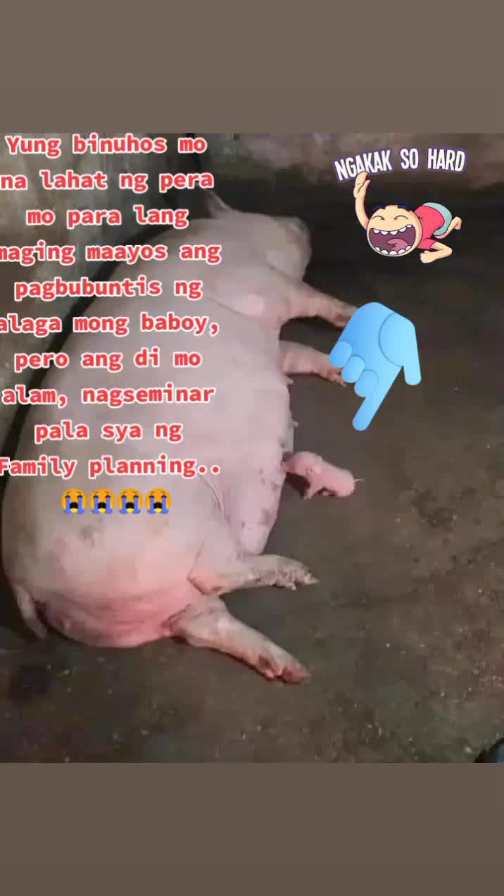 @hugotboy12M