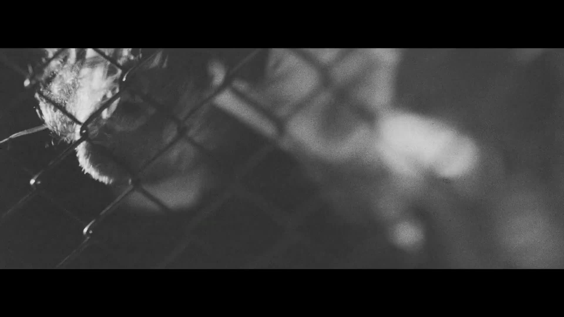 @MetalcoreWorldwide