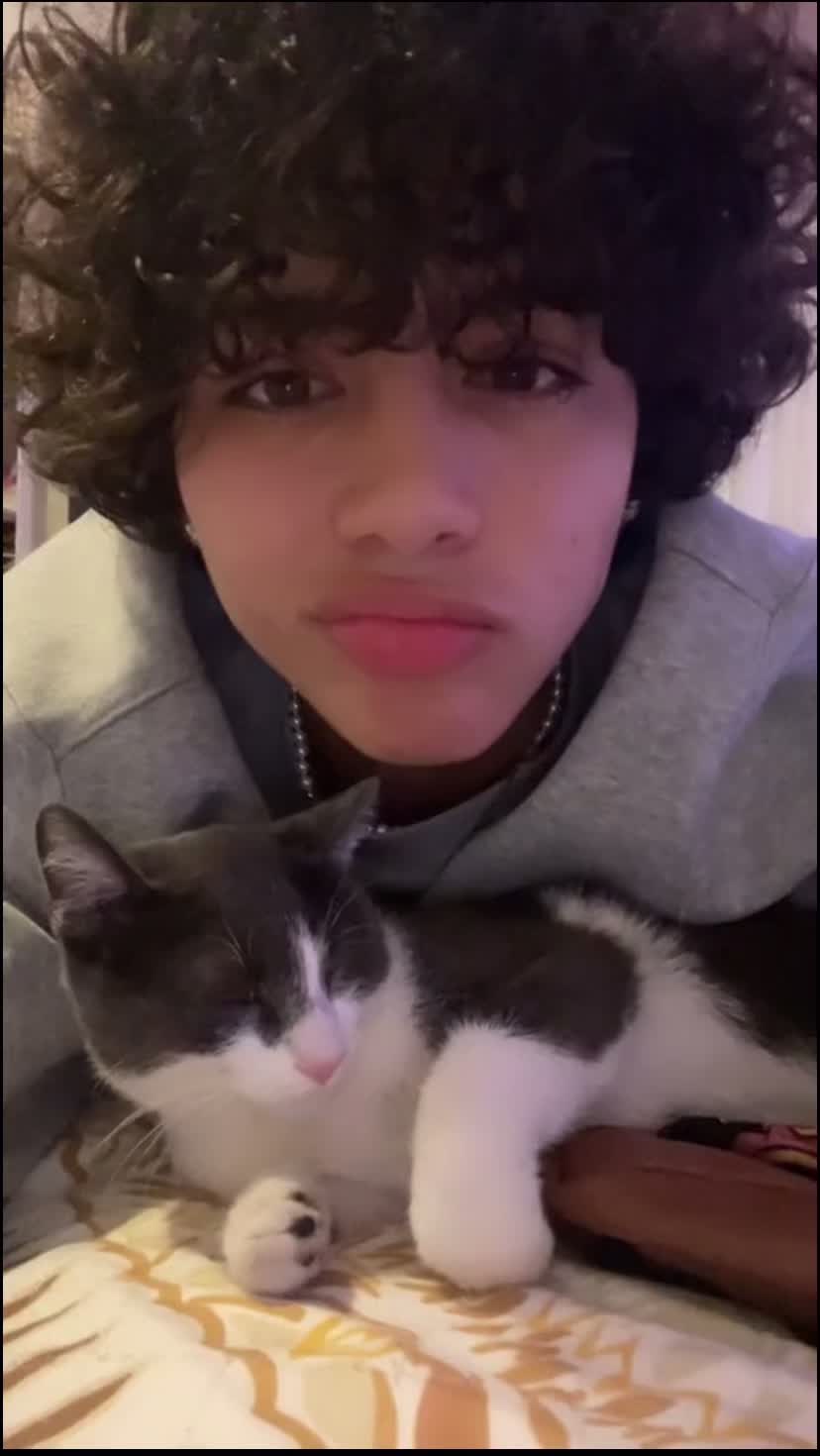 @😼