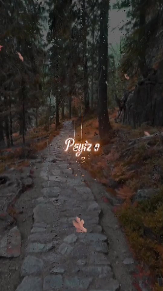 @KURDLYRICS ✪
