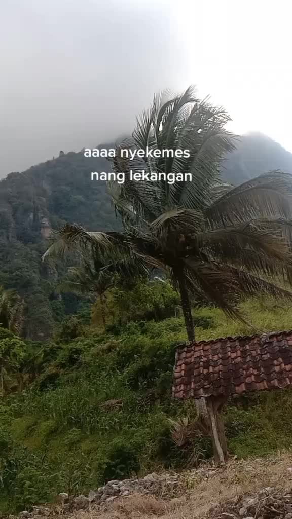 @Rendr🅰️