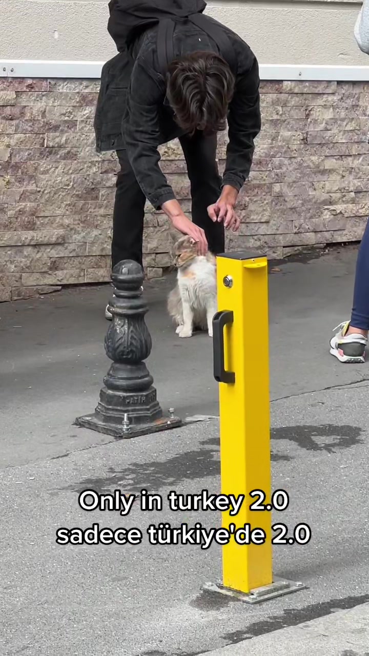 @TurkishToB