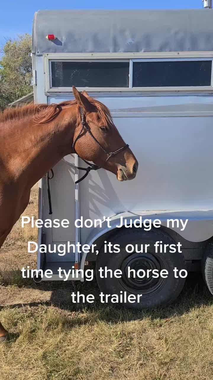 @Barrel Racing Journey