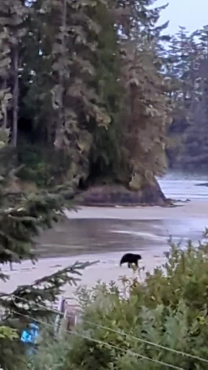 @crowshoe62