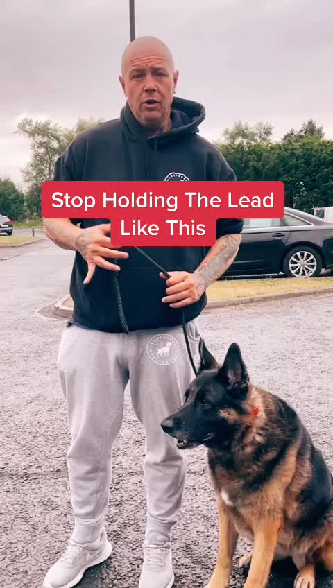 @SouthendDogTraining