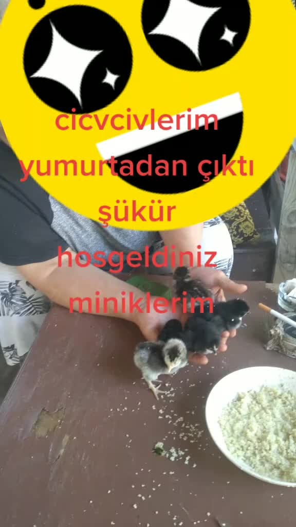 @Sensiz olmuyor