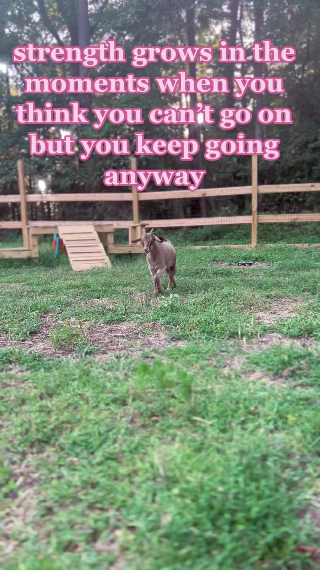 @Ashley