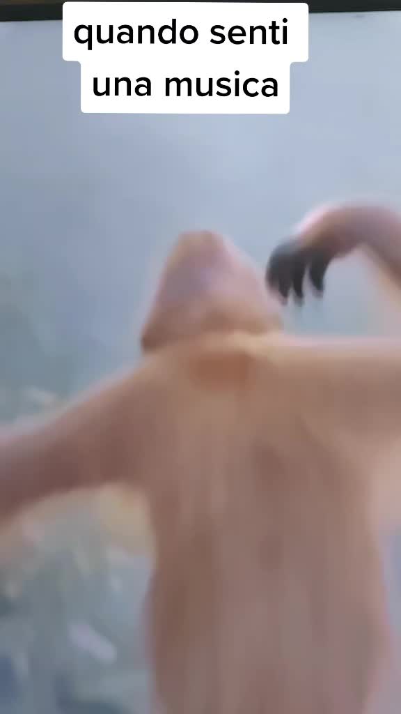 @eldoppiator