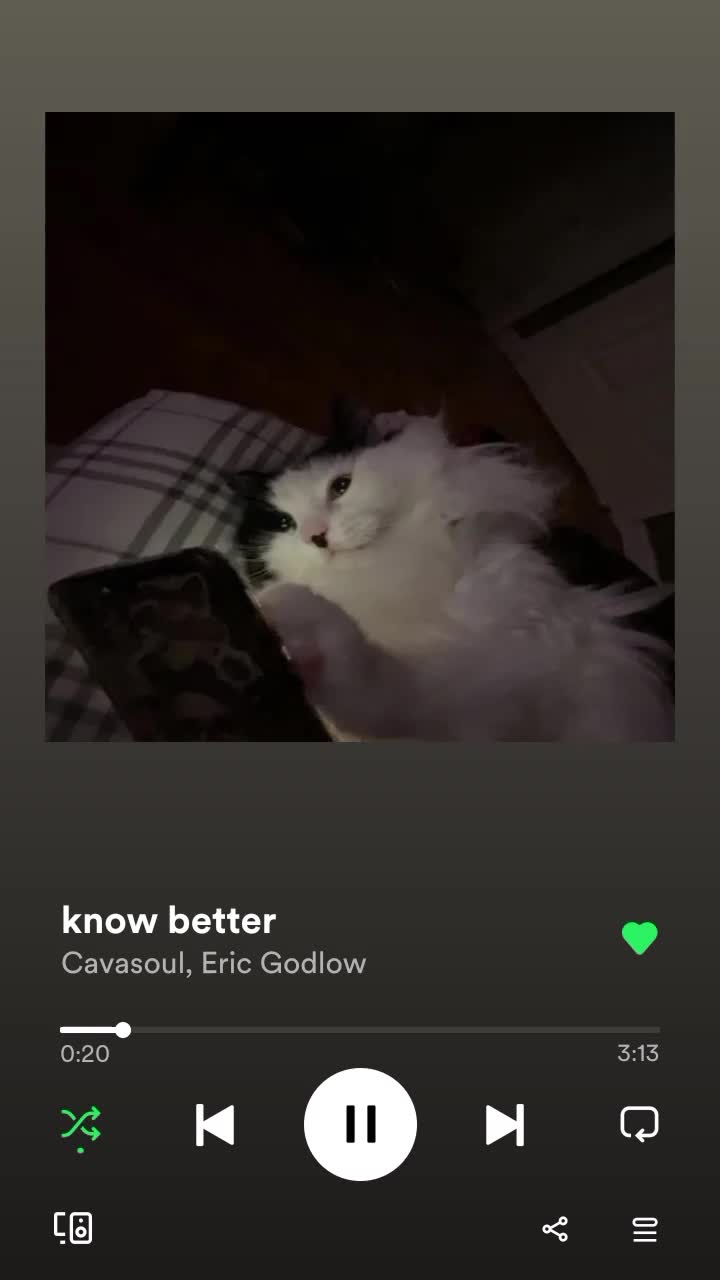 @kai/haley