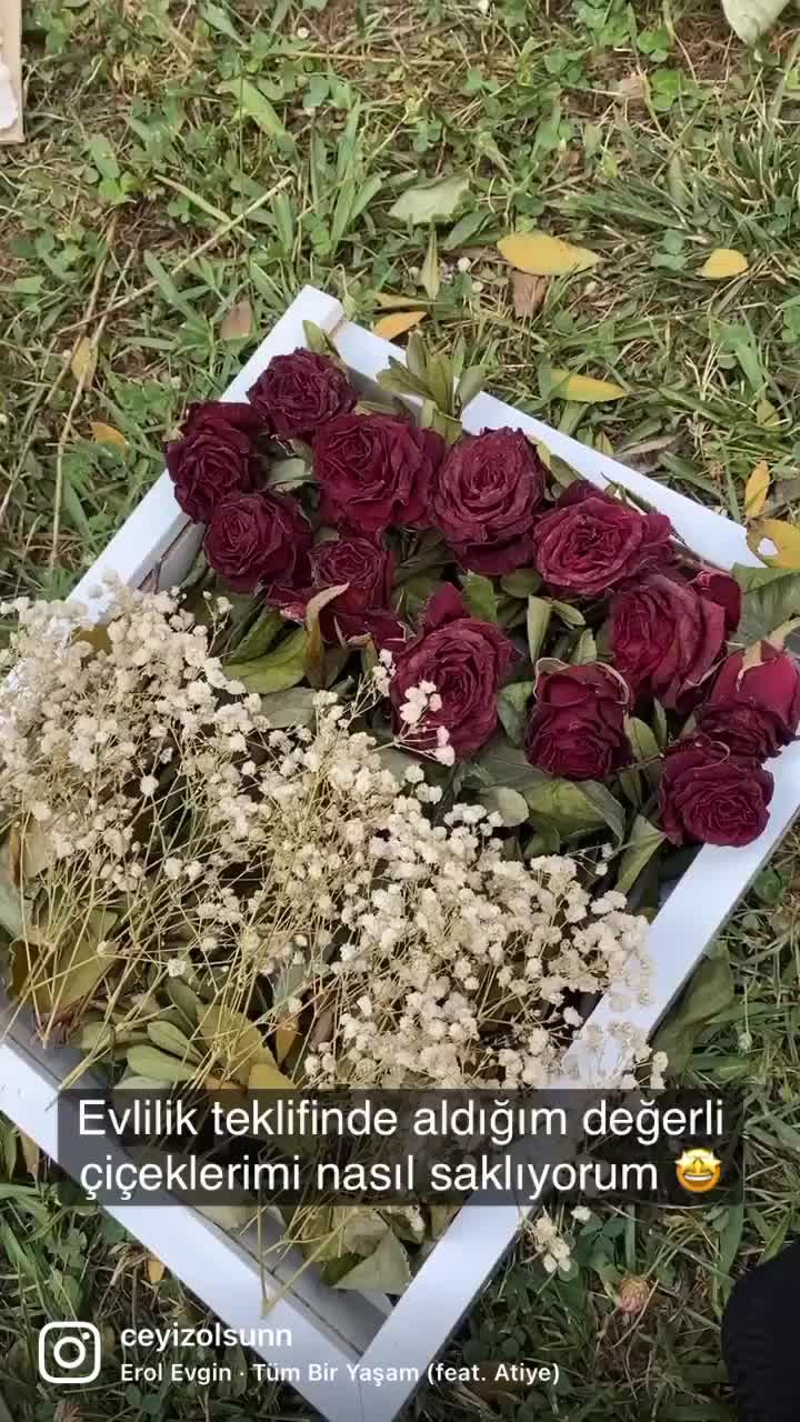 @ceyizolsunn
