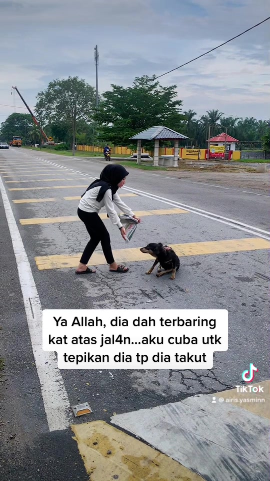 @Airis Yasmin