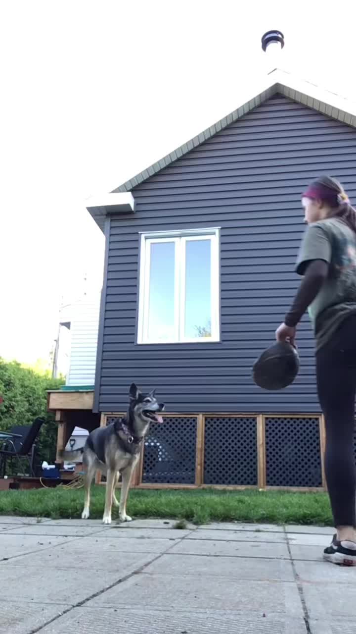 @my..dog.amy