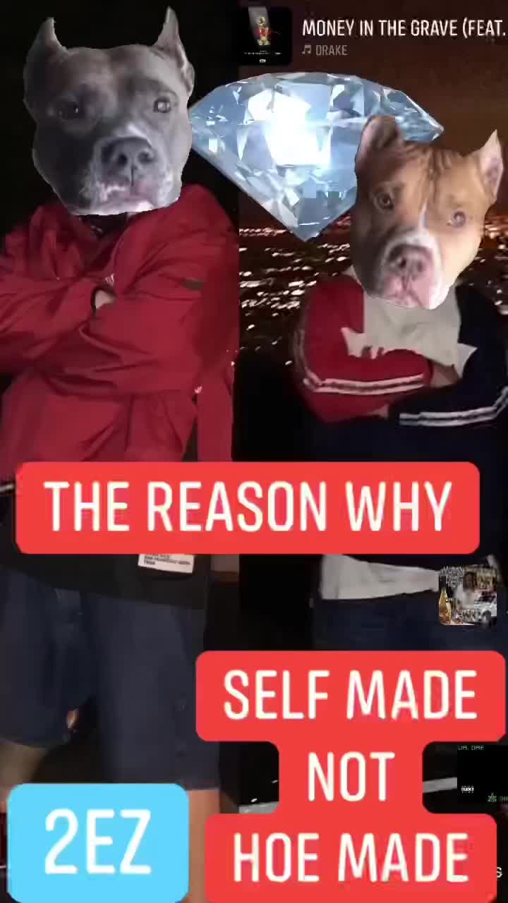 @TheReasonwhY